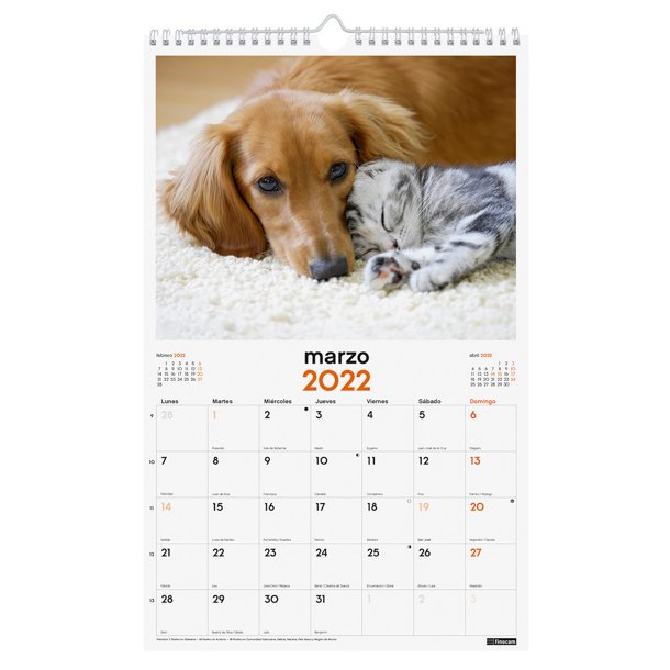 CALENDARIO IMÁGENES DE PARED ESPIRAL PARA ESCRIBIR 2022 PERROS GATOS